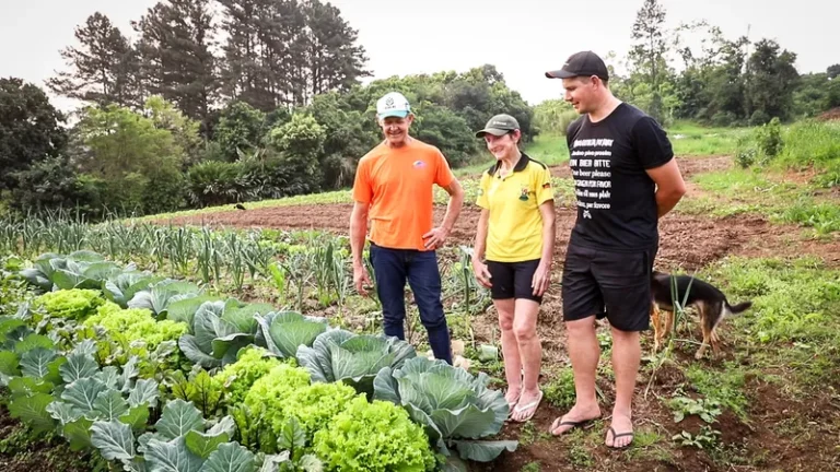 agricultores recebendo orientacao em campo