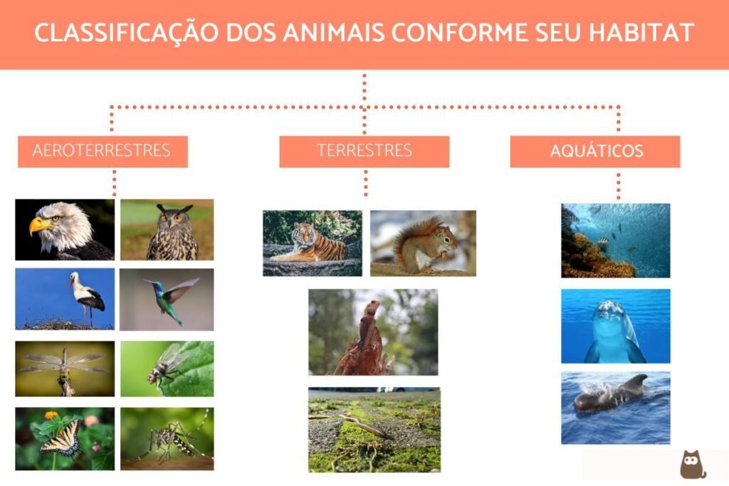 Como o Ambiente Influencia a Forma e a Organização dos Animais