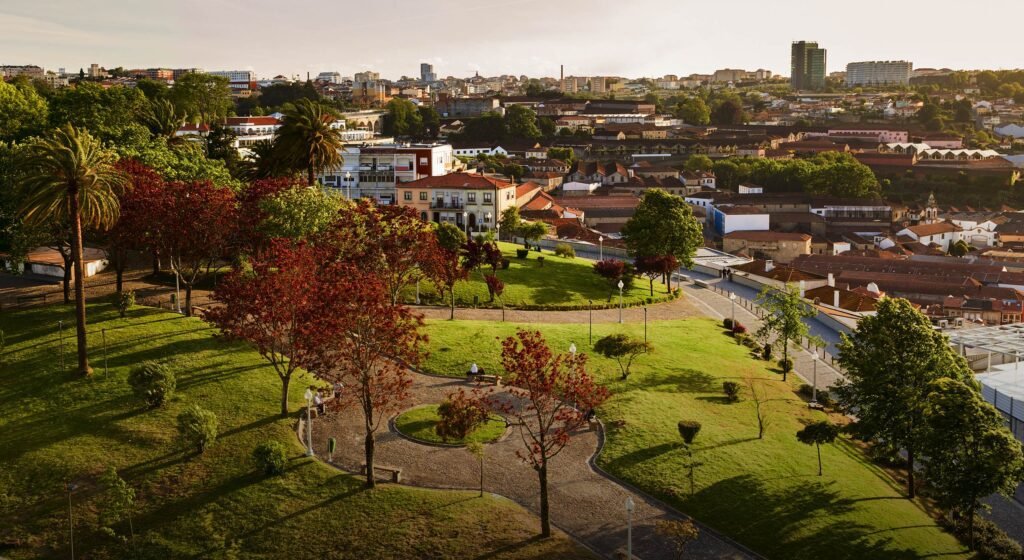 Qual é a Importância das Árvores para a Vida dos Seres Humanos