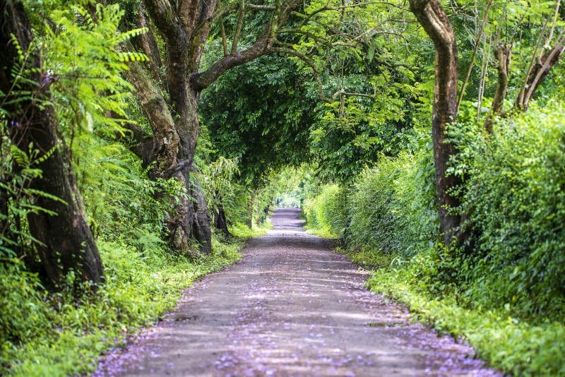 Como Realizar a Consulta e Inscrição nas Trilhas do Futuro