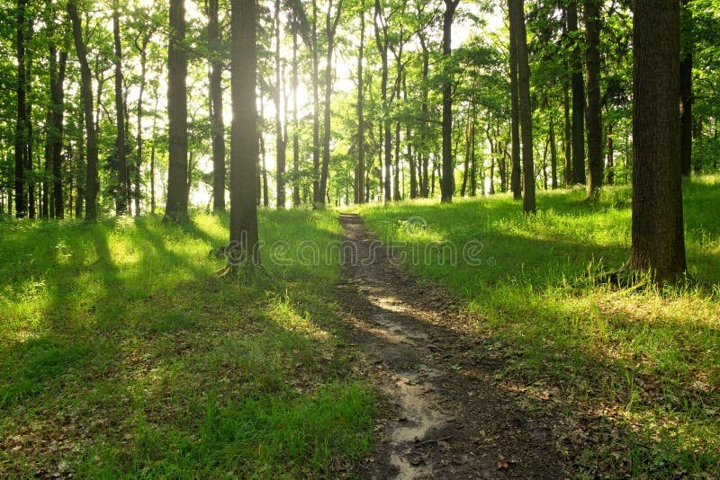 Quais São os Assuntos Mais Importantes Para Estudar na Vida
