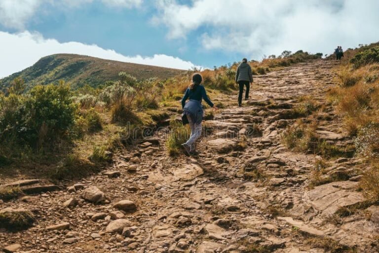 Você Não Veio Até Aqui Para Desistir: Como Manter a Motivação 19 caminho montanhoso com pessoas subindo