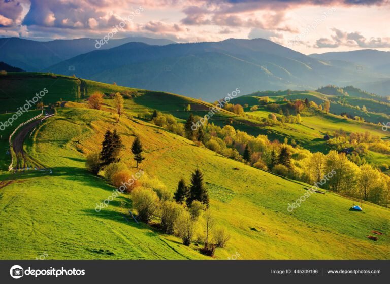 caminho sinuoso entre arvores e montanhas