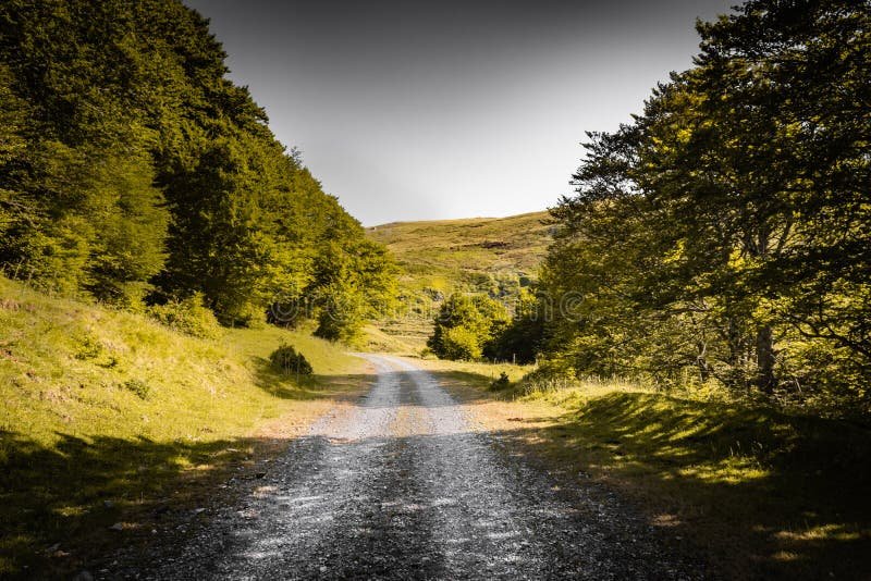 O Que Significa a Expressão "No Final É Você Por Você" 7 O Que Significa a Expressão “No Final É Você Por Você”