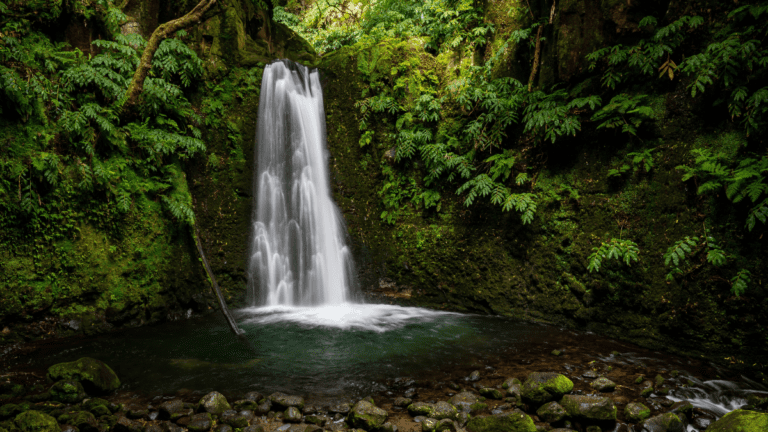 O que fazer em Santo Amaro da Imperatriz, Santa Catarina 15 cascata rodeada por natureza exuberante