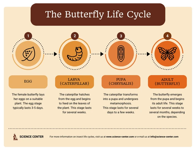 Qual é o ciclo de vida dos documentos e como ele funciona 25 ciclo de vida dos documentos em infografico