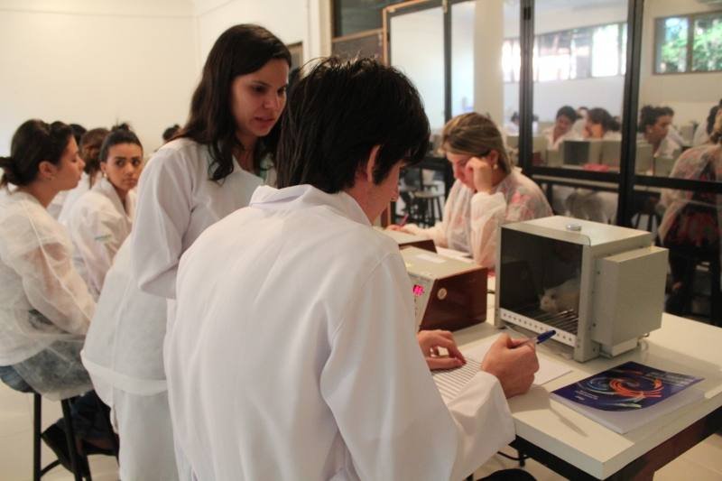 Quantos semestres são necessários para concluir a faculdade de psicologia