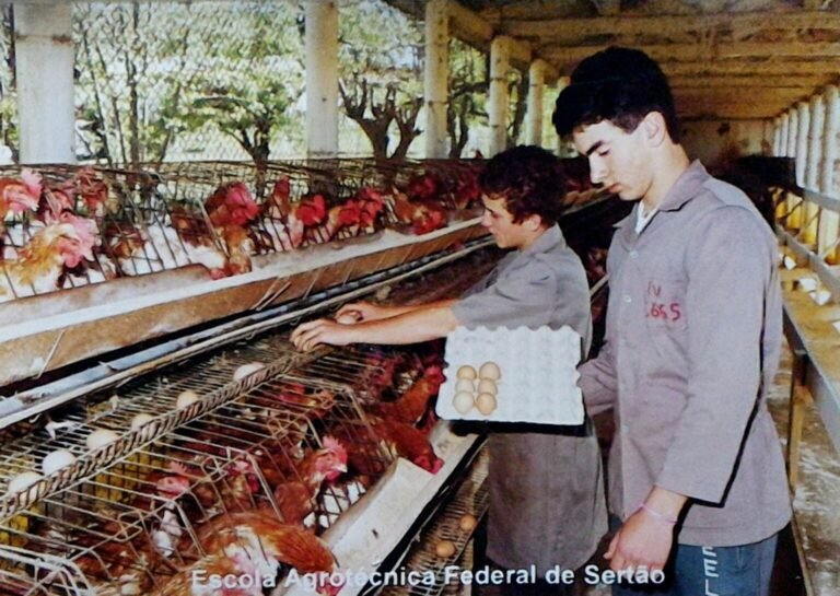 estudantes em aula pratica de agropecuaria