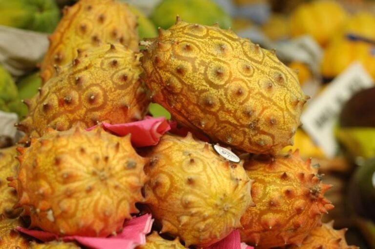 Qual é a fruta com espinho no caroço que você deve conhecer 29 fruta exotica com espinhos no caroco