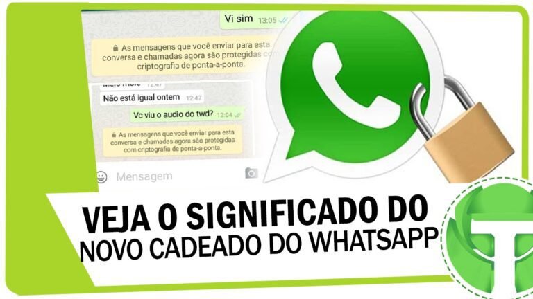 icone do whatsapp com cadeado e contatos