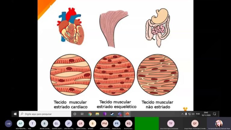 ilustracao dos sistemas tegumentar locomotor e reprodutor