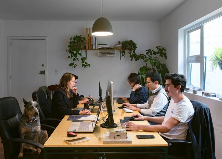 jovens enfrentando desafios profissionais no escritorio