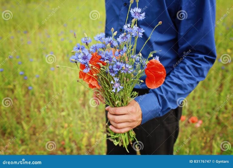 maos oferecendo flores em um campo