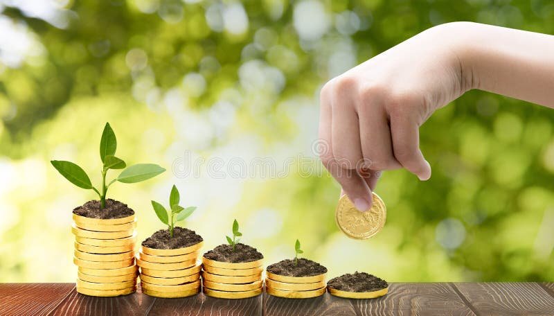 Como Funciona o Simples Cred e Como Conseguir Crédito para Todos 6 Como Funciona o Simples Cred e Como Conseguir Crédito para Todos