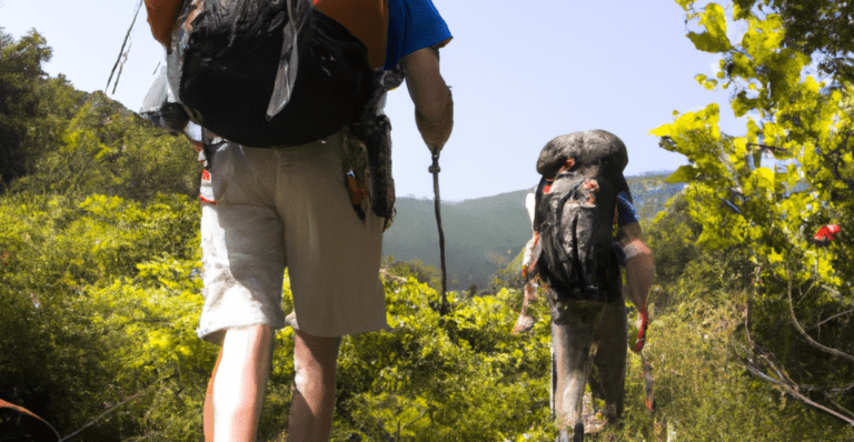 pessoas explorando trilhas em meio a natureza