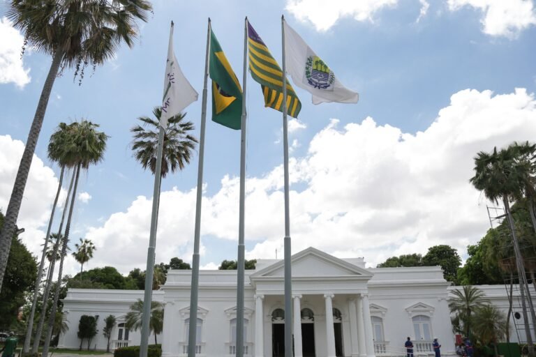 predios governamentais com a bandeira nacional