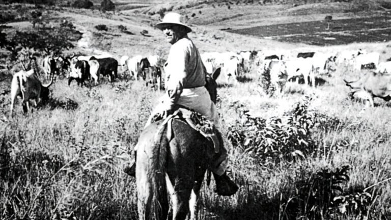 Quem foi João Guimarães Rosa e qual a importância de Grande Sertão: Veredas 23 retrato de guimaraes rosa em ambiente rural