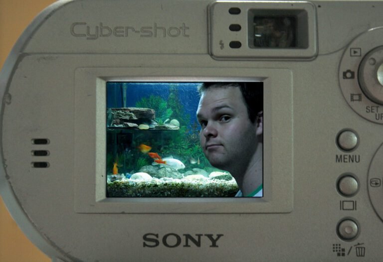 retrato historico de estacio de sa