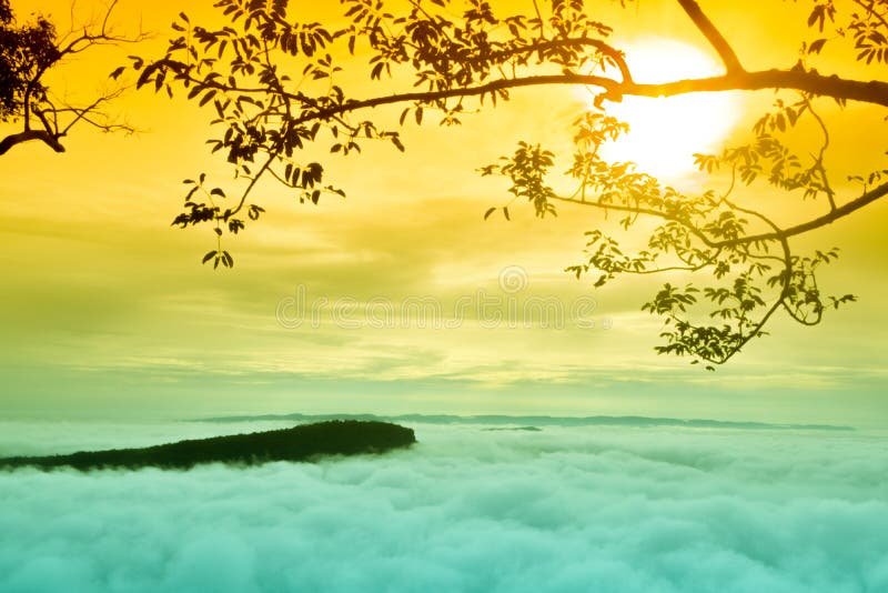 um amanhecer sobre uma paisagem renovada