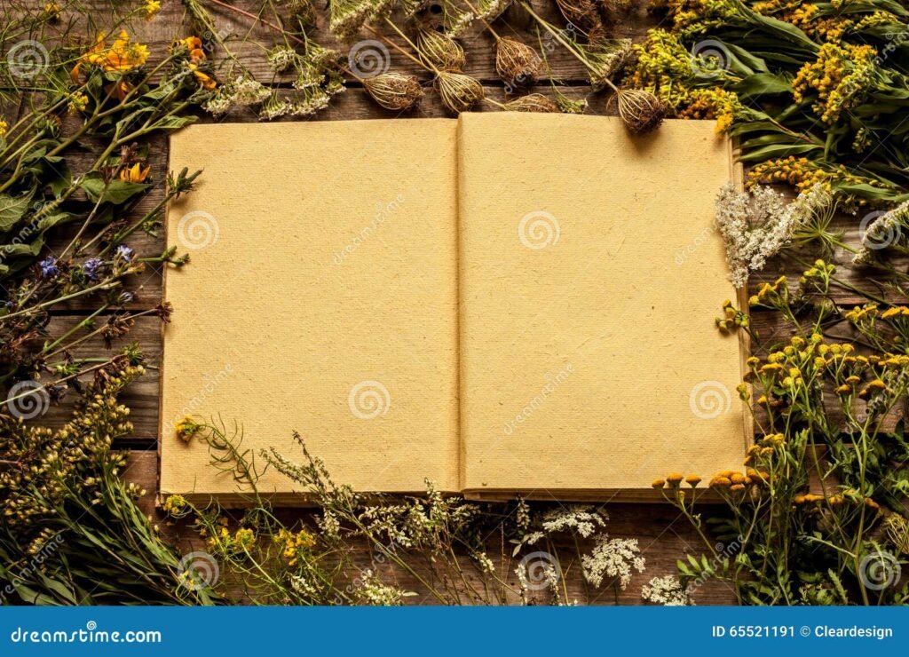 Por Que Ler os Clássicos É Importante para o Seu Desenvolvimento Pessoal