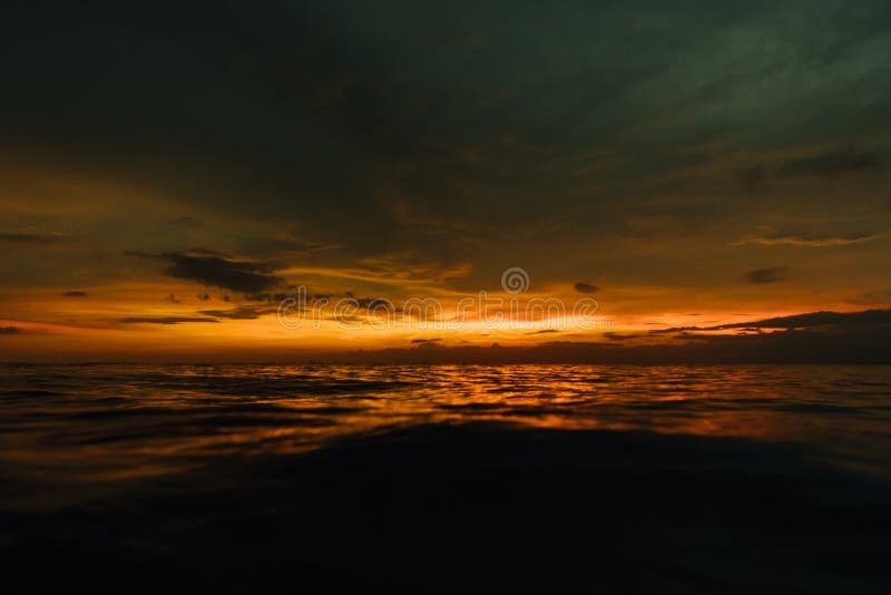 Quais são as principais ideias de Arthur Schopenhauer sobre as dores do mundo