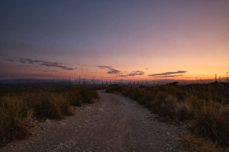 uma estrada rumo ao horizonte ensolarado