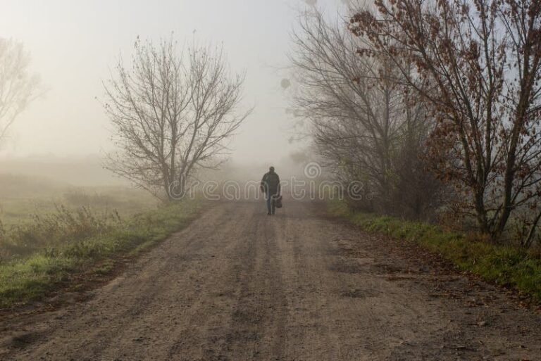 uma estrada solitaria em meio a neblina
