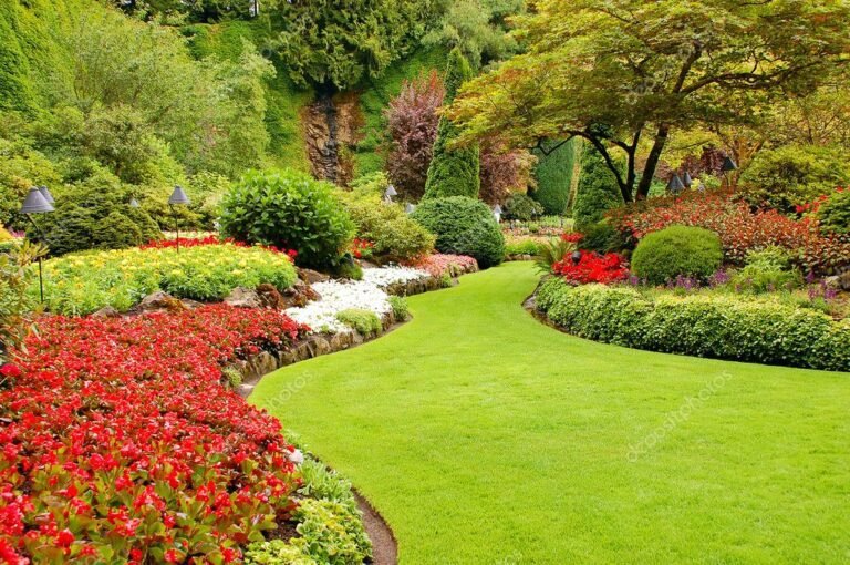 vista aerea de um jardim exuberante