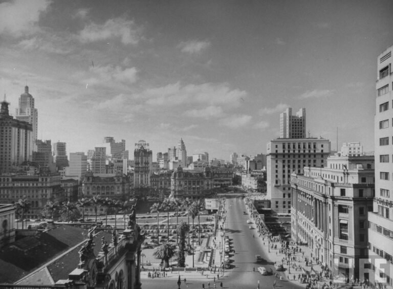 vista da rua paulo emilio salles gomes