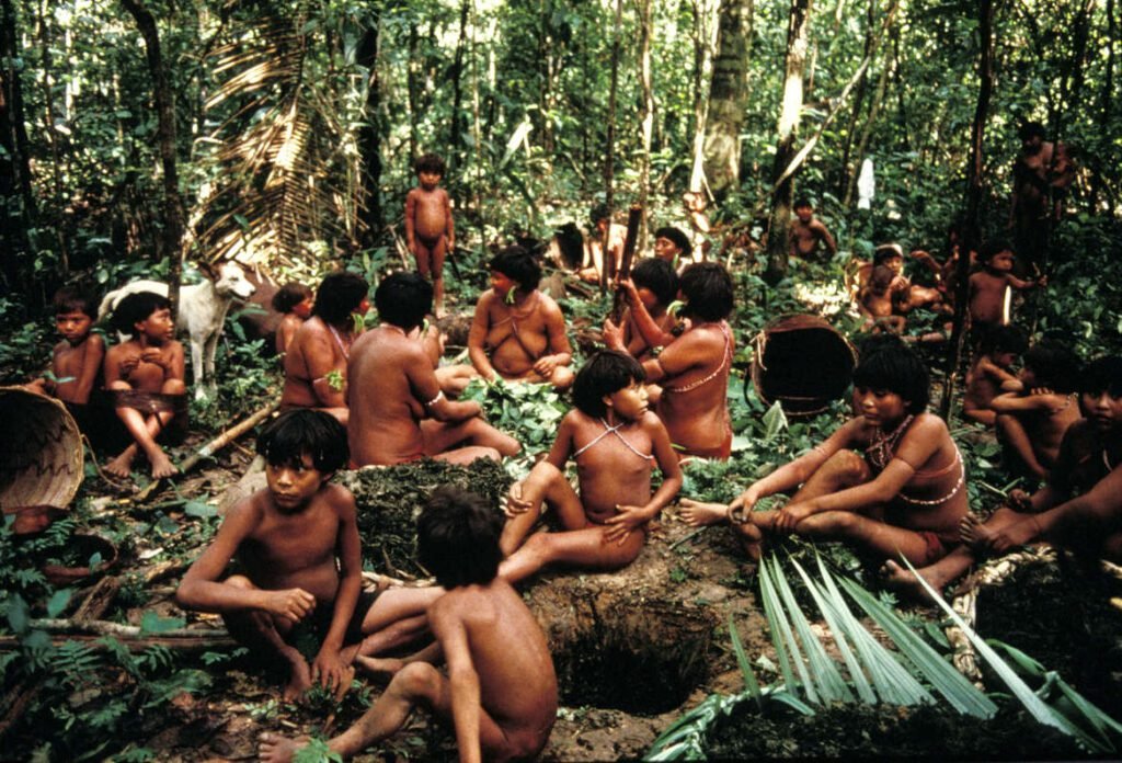 Qual é o significado das palavras de um xamã yanomami sobre a queda do céu